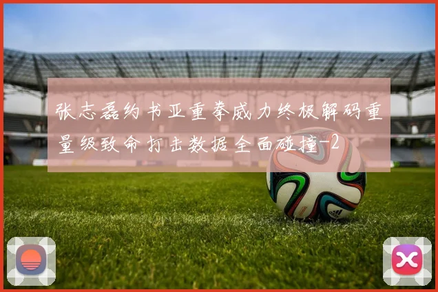 张志磊约书亚重拳威力终极解码重量级致命打击数据全面碰撞