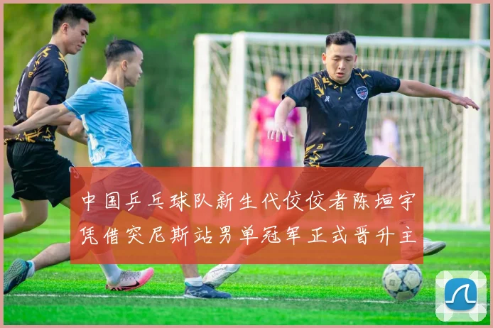 中国乒乓球队新生代佼佼者陈垣宇凭借突尼斯站男单冠军正式晋升主力层