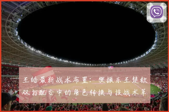 王皓最新战术布置：樊振东王楚钦双打配合中的角色转换与技战术革新