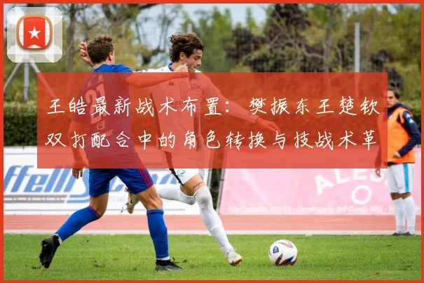 王皓最新战术布置：樊振东王楚钦双打配合中的角色转换与技战术革新